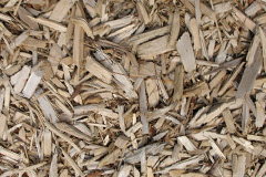 biomass boilers Culroy